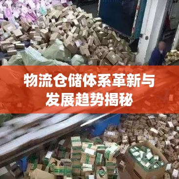 物流仓储体系革新与发展趋势揭秘