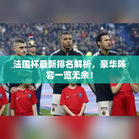 法国杯最新排名解析，豪华阵容一览无余！