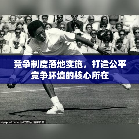 竞争制度落地实施，打造公平竞争环境的核心所在