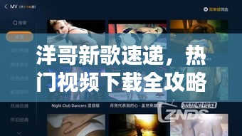 洋哥新歌速递，热门视频下载全攻略