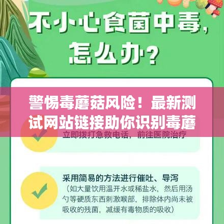 警惕毒蘑菇风险！最新测试网站链接助你识别毒蘑菇，保障健康
