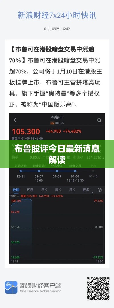 布鲁股评今日最新消息解读