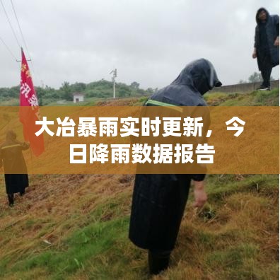 大冶暴雨实时更新，今日降雨数据报告