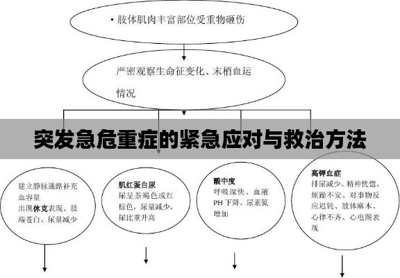 突发急危重症的紧急应对与救治方法