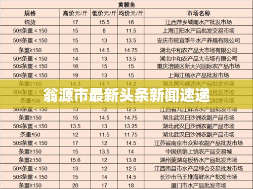 翁源市最新头条新闻速递