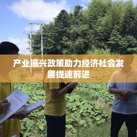 产业振兴政策助力经济社会发展提速前进