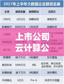 上市公司云计算公司竞争力排名大揭秘
