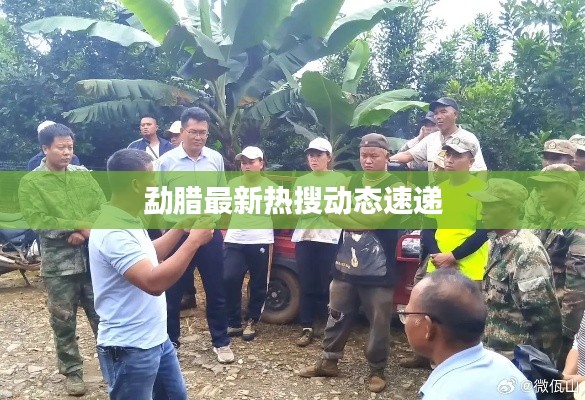 勐腊最新热搜动态速递