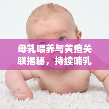 母乳喂养与黄疸关联揭秘，持续哺乳助力退黄，科学解读黄疸与母乳关系