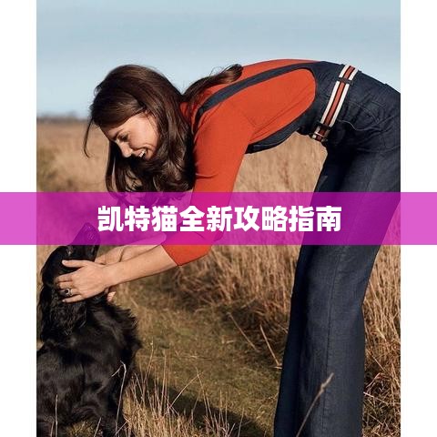 凯特猫全新攻略指南