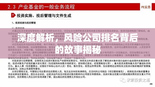 深度解析，风险公司排名背后的故事揭秘