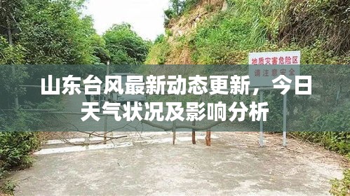 博古通今