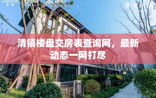 小鸟伊人