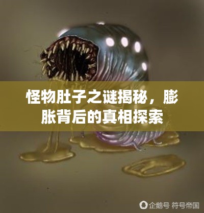 怪物肚子之谜揭秘，膨胀背后的真相探索