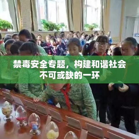 禁毒安全专题，构建和谐社会不可或缺的一环