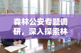 森林公安专题调研，深入探索林业安全之道