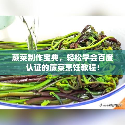 蕨菜制作宝典，轻松学会百度认证的蕨菜烹饪教程！
