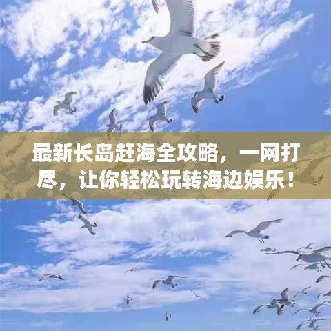 最新长岛赶海全攻略，一网打尽，让你轻松玩转海边娱乐！