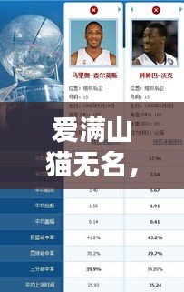 爱满山猫无名，最新动态一网打尽