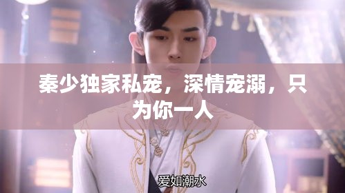 秦少独家私宠，深情宠溺，只为你一人