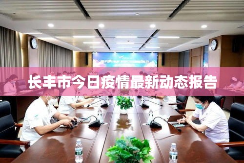 长丰市今日疫情最新动态报告