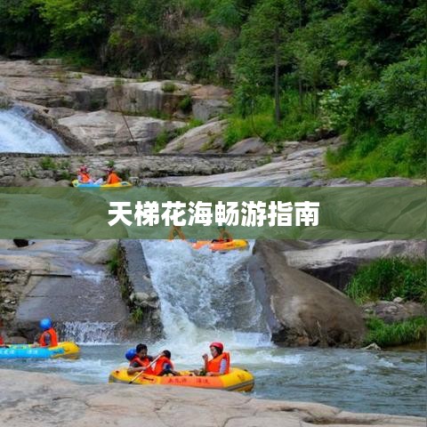 天梯花海畅游指南