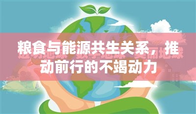 粮食与能源共生关系，推动前行的不竭动力