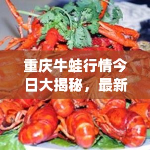 重庆牛蛙行情今日大揭秘，最新动态一网打尽