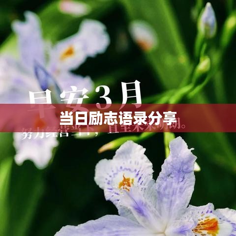 当日励志语录分享