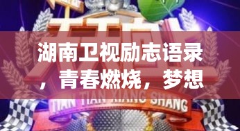 龙飞凤舞
