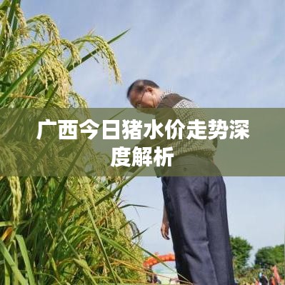 广西今日猪水价走势深度解析
