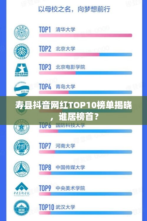 寿县抖音网红TOP10榜单揭晓，谁居榜首？