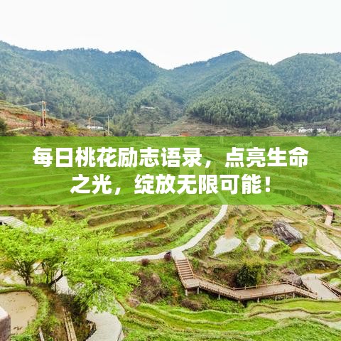 每日桃花励志语录，点亮生命之光，绽放无限可能！