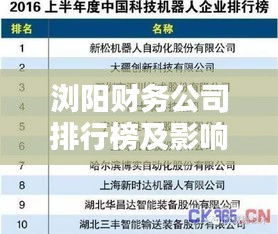浏阳财务公司排行榜及影响力深度解析