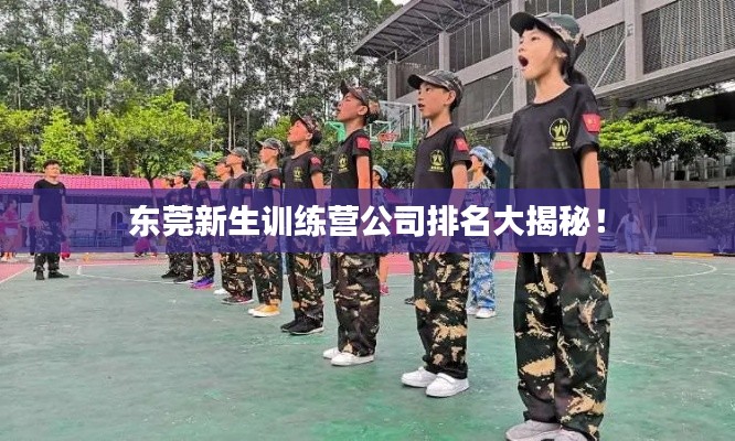 东莞新生训练营公司排名大揭秘！