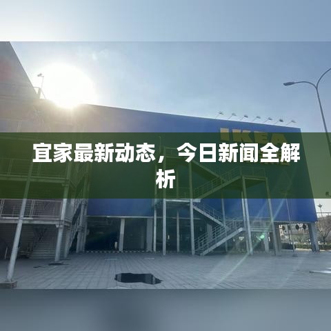 宜家最新动态，今日新闻全解析
