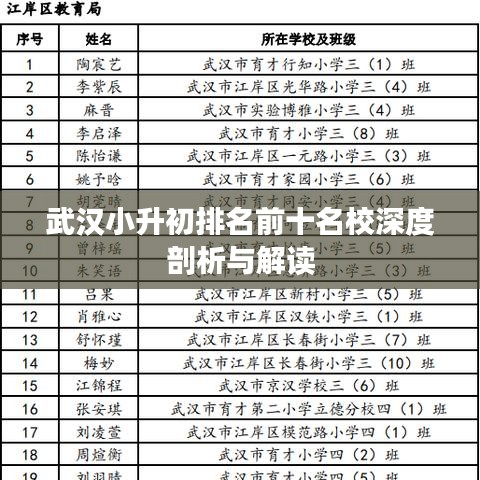 武汉小升初排名前十名校深度剖析与解读