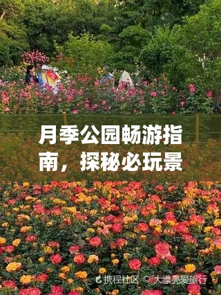 月季公园畅游指南，探秘必玩景点，轻松开启浪漫之旅！