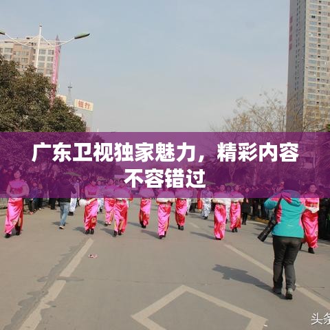 广东卫视独家魅力，精彩内容不容错过