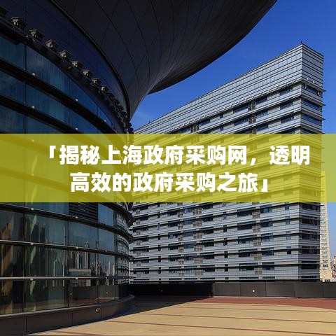 「揭秘上海政府采购网，透明高效的政府采购之旅」