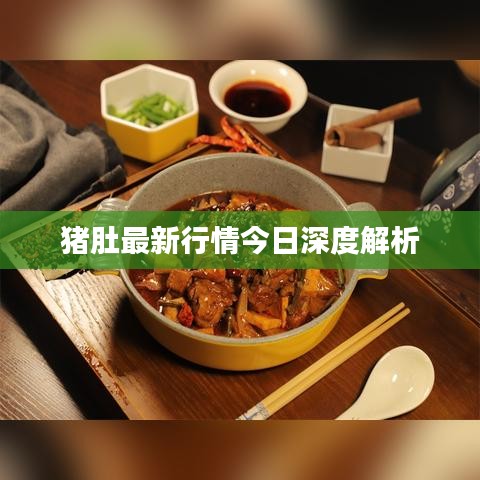 猪肚最新行情今日深度解析