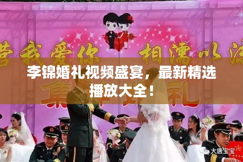 李锦婚礼视频盛宴，最新精选播放大全！