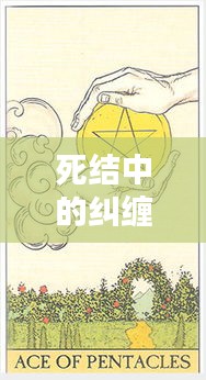 死结中的纠缠与解脱，纠结与自由的拉锯战