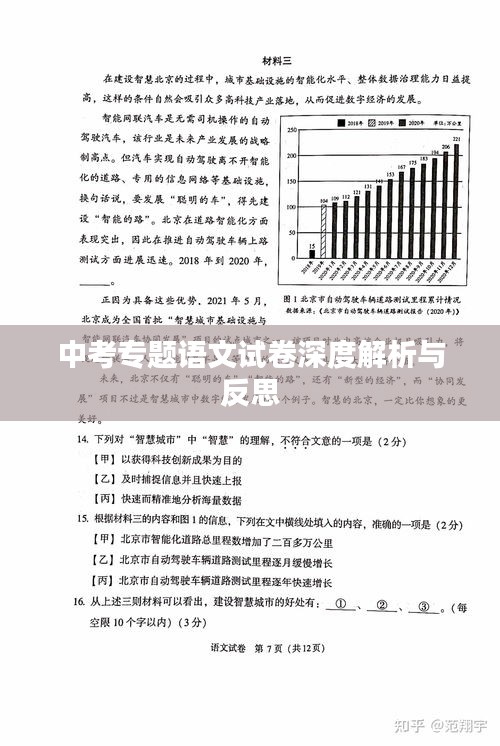 中考专题语文试卷深度解析与反思