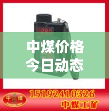 逸兴遄飞