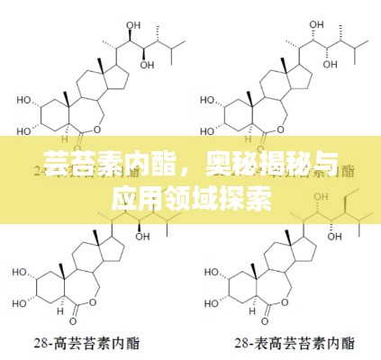 芸苔素内酯，奥秘揭秘与应用领域探索