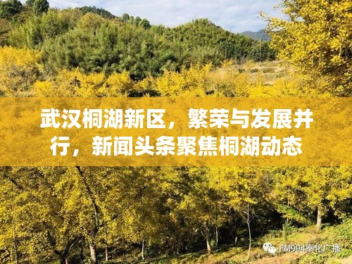 武汉桐湖新区，繁荣与发展并行，新闻头条聚焦桐湖动态