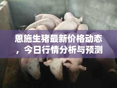恩施生猪最新价格动态，今日行情分析与预测
