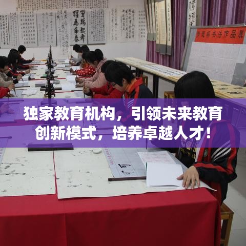 独家教育机构，引领未来教育创新模式，培养卓越人才！