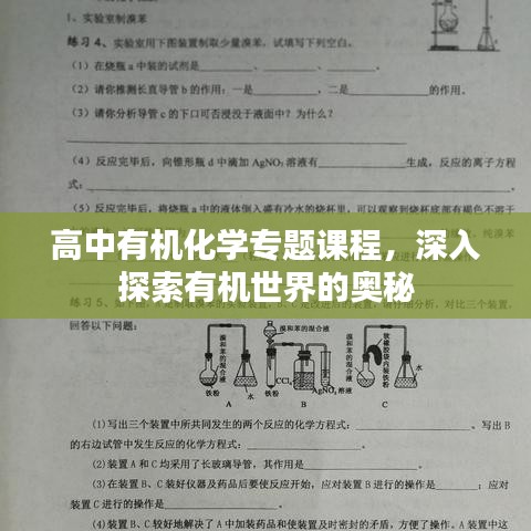 高中有机化学专题课程，深入探索有机世界的奥秘